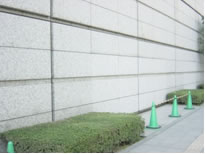 植栽がとぎれている部分の外壁に避難口の扉がある。前に自転車等が置かれないよう、緑色のコーンが置いてある